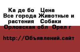 Ка де бо › Цена ­ 25 - Все города Животные и растения » Собаки   . Орловская обл.,Орел г.